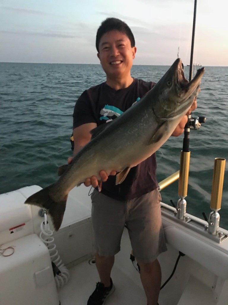 king salmon caught sportfishing in shallow water in late august