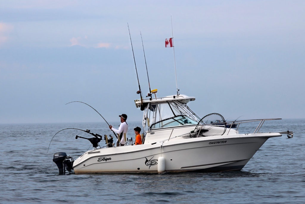 2011 seaswirl striper