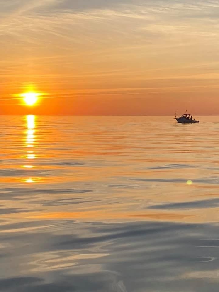 salmon limited sportfishing niagara with sunset in background