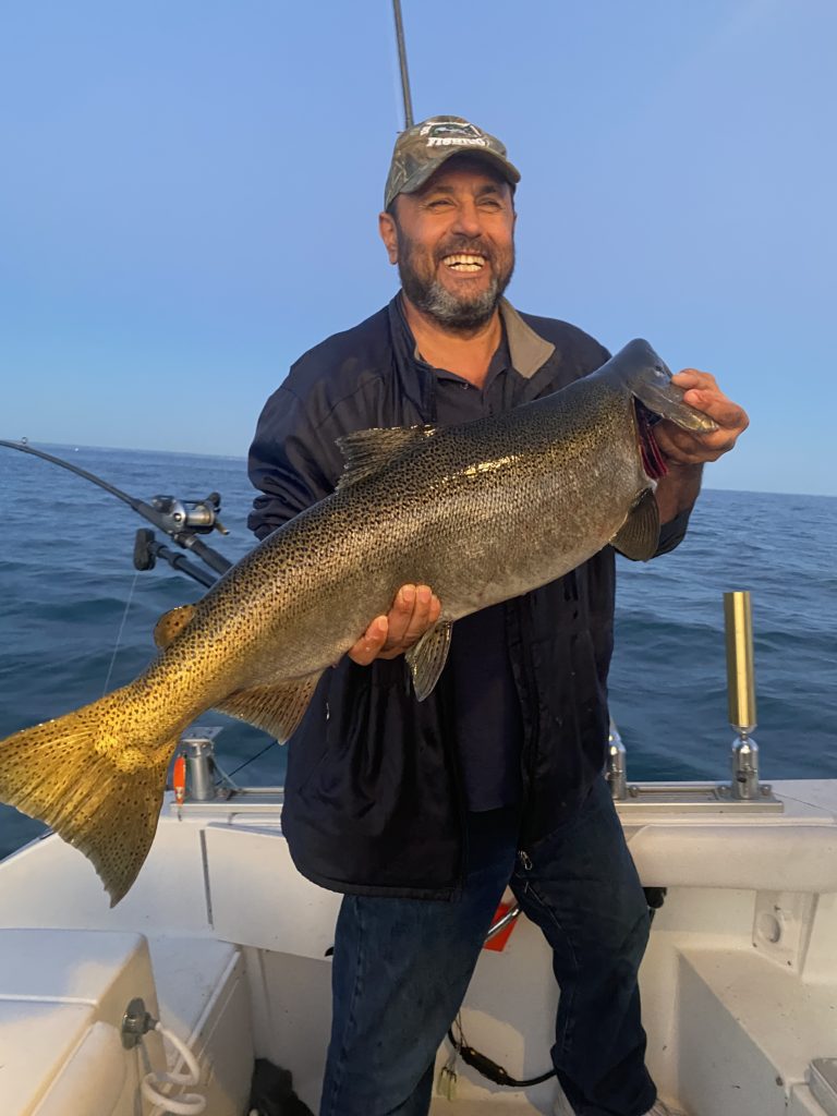 mature king salmon caught on salmon limited sportfishing niagara